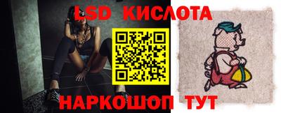 прущие грибы Кулебаки