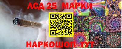 прущие грибы Кулебаки