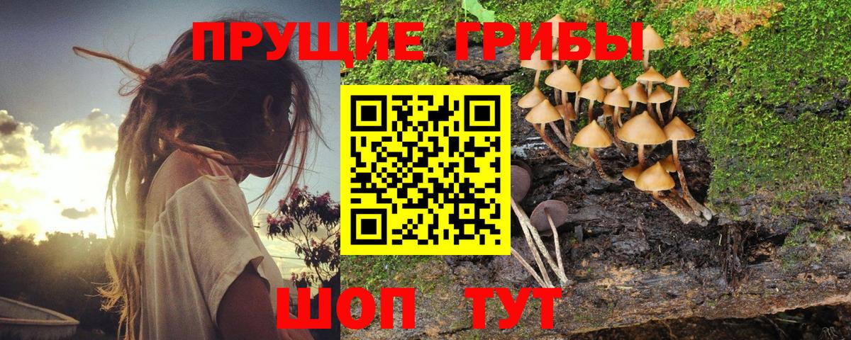 Калач-на-Дону  Псилоцибиновые грибы мухоморы  Псилоцибиновые грибы мицелий  Вход с VPN 